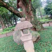 ヒメ日記 2026/08/26 13:43 投稿 和花(わか) 川崎三浦屋