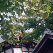 ヒメ日記 2026/10/06 12:53 投稿 和花(わか) 川崎三浦屋