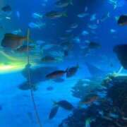 ヒメ日記 2026/07/05 23:49 投稿 みみ ヌクトコ池袋店