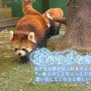 ヒメ日記 2026/05/16 02:08 投稿 れんか 成田富里インターちゃんこ