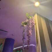 ヒメ日記 2026/05/23 02:56 投稿 つきの ぽちゃらん神栖店