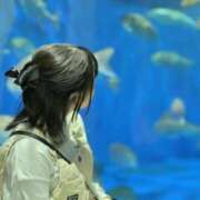 ヒメ日記 2026/05/24 19:16 投稿 つきの ぽちゃらん神栖店