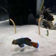 ヒメ日記 2026/10/11 11:48 投稿 みみ エレガンス(広島)