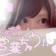 ヒメ日記 2026/08/15 08:53 投稿 来栖　ひなこ プルプル人妻専門店
