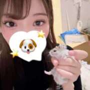ヒメ日記 2026/10/13 01:45 投稿 にこり プロフィール 京都店