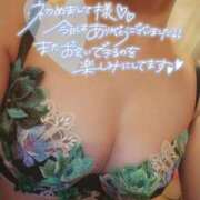 ヒメ日記 2026/09/22 12:20 投稿 すみれ ぐっすり山田　名古屋店
