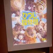 ヒメ日記 2026/05/28 02:39 投稿 しほ 素人妻御奉仕倶楽部Hip's松戸店