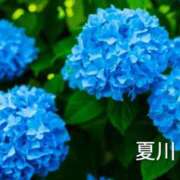 ヒメ日記 2026/06/06 10:50 投稿 夏川まなみ 五十路マダム静岡店（カサブランカG）