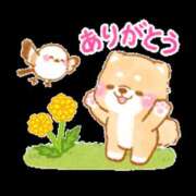 ヒメ日記 2026/05/27 07:13 投稿 雫（しずく） ぎんねこ