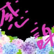 ヒメ日記 2026/06/12 09:01 投稿 雫（しずく） ぎんねこ