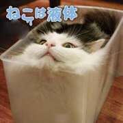 ヒメ日記 2026/07/27 08:04 投稿 雫（しずく） ぎんねこ