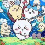 ヒメ日記 2026/08/26 08:09 投稿 雫（しずく） ぎんねこ