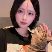 すず【モモを彷彿】 ねこ🐱 STELLA TOKYO－ステラトウキョウ－
