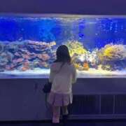 ヒメ日記 2026/05/24 02:15 投稿 おとは 舐めたくてグループ～君とサプライズ学園～越谷校