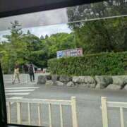 ヒメ日記 2026/06/23 10:27 投稿 こころ ニューヨークニューヨーク