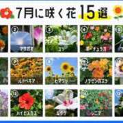 ヒメ日記 2026/07/01 23:21 投稿 こころ ニューヨークニューヨーク