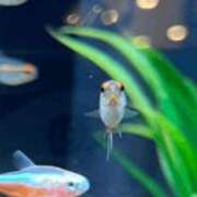 ヒメ日記 2026/06/23 08:32 投稿 ブルマ AMOUR（アムール）