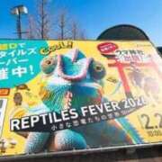 ヒメ日記 2026/06/03 11:17 投稿 あかりさん いけない奥さん 十三店