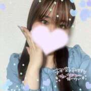 ヒメ日記 2026/06/13 12:04 投稿 らむ 奴隷コレクション
