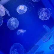 ヒメ日記 2026/07/31 15:02 投稿 あおば G-SPOT 土浦店