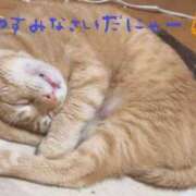 ヒメ日記 2026/05/17 22:06 投稿 ゆず 熟女総本店 日本橋ミナミエリア店