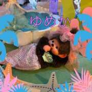 ヒメ日記 2026/07/23 15:10 投稿 ゆめか 妻天 梅田店