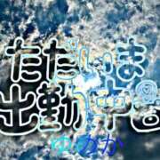 ヒメ日記 2026/08/02 10:20 投稿 ゆめか 妻天 梅田店