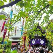 ヒメ日記 2026/07/12 12:06 投稿 白峰（しらみね） 東京セレブな美人妻