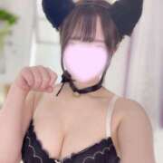 りせ にゃん！😻 ハピネス＆ドリーム 松山道後温泉