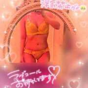 ヒメ日記 2026/05/25 20:25 投稿 ちょこ 帯広アニバーサリー