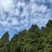 ヒメ日記 2026/05/29 07:04 投稿 如月エリカ 禁断のメンズエステR-18堺・南大阪店