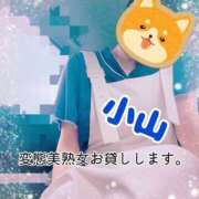 ヒメ日記 2026/07/02 19:37 投稿 小山 変態美熟女お貸しします。