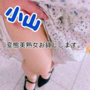 ヒメ日記 2026/07/03 08:47 投稿 小山 変態美熟女お貸しします。