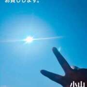 ヒメ日記 2026/07/20 09:47 投稿 小山 変態美熟女お貸しします。