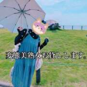 ヒメ日記 2026/07/28 10:07 投稿 小山 変態美熟女お貸しします。
