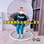 ヒメ日記 2026/08/01 17:17 投稿 小山 変態美熟女お貸しします。