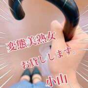 ヒメ日記 2026/08/13 16:47 投稿 小山 変態美熟女お貸しします。
