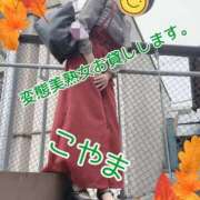 ヒメ日記 2026/09/27 10:17 投稿 小山 変態美熟女お貸しします。