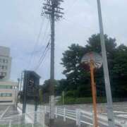 ゆり ぐったーりん GODZUMA（ゴッヅマ）