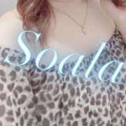 ヒメ日記 2026/05/19 21:18 投稿 そあら club さくら日本橋店