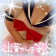 ヒメ日記 2026/07/04 11:32 投稿 みなも ぽっちゃり巨乳素人専門店ぷにめろ池袋店