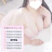ヒメ日記 2026/07/27 10:32 投稿 みなも ぽっちゃり巨乳素人専門店ぷにめろ池袋店