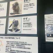 ヒメ日記 2026/09/13 06:17 投稿 すず ハピネス東京