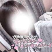 ヒメ日記 2026/06/20 15:55 投稿 むぎ（奥様） 姫マーケット