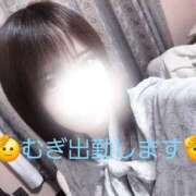 ヒメ日記 2026/06/27 09:06 投稿 むぎ（奥様） 姫マーケット
