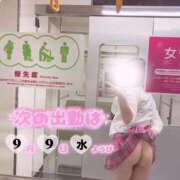 えれな(奇跡の痴女巨乳天使) 主従関係🐶 学園天国
