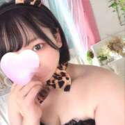ヒメ日記 2026/06/29 12:18 投稿 まなと ハピネス＆ドリーム 松山道後温泉
