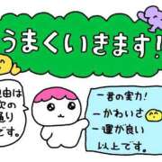 ヒメ日記 2026/06/08 23:59 投稿 りさ【先生は極上敏感体質】 STELLA TOKYO－ステラトウキョウ－