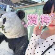 ヒメ日記 2026/09/06 19:30 投稿 しずか One More 奥様　西川口店