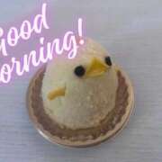 ヒメ日記 2026/10/03 06:30 投稿 ななみ あとりえ(ATELIER)